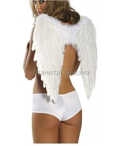 Крылья ангела (60см*50см) белые